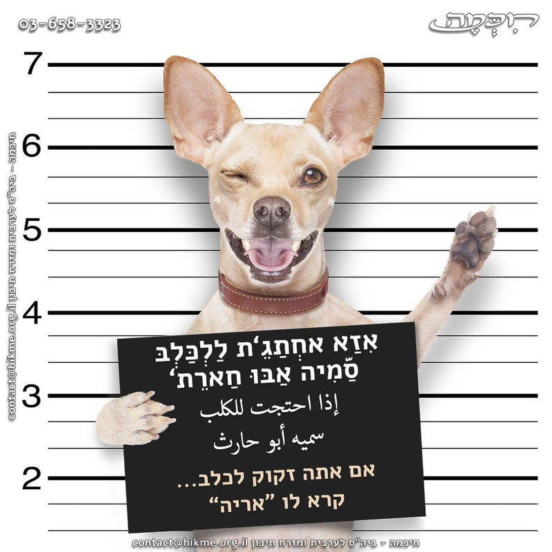 אם-אתה-זקוק-לכלב