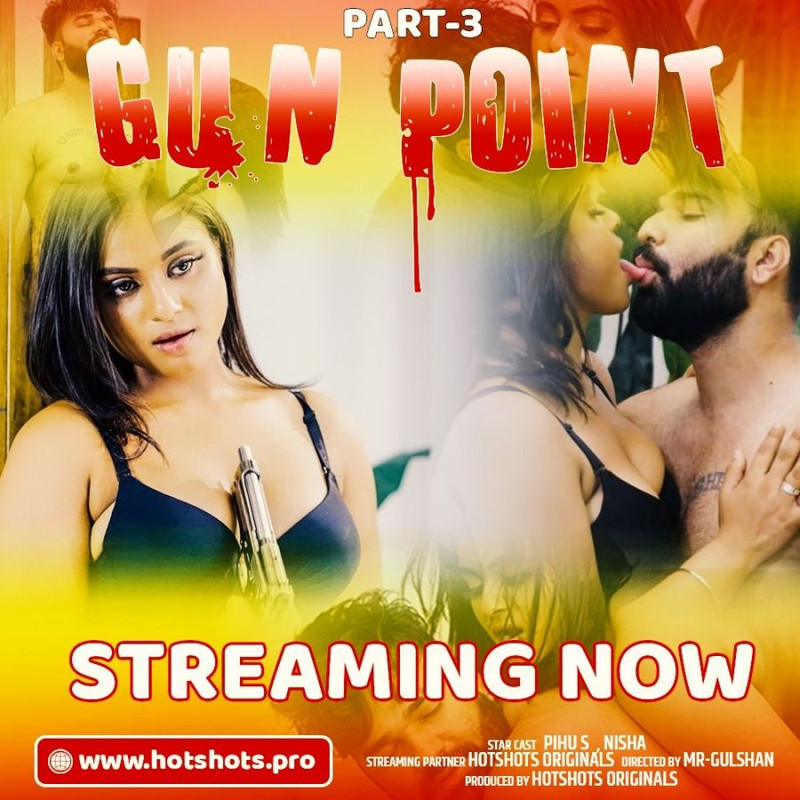 GUNP3P1.jpg