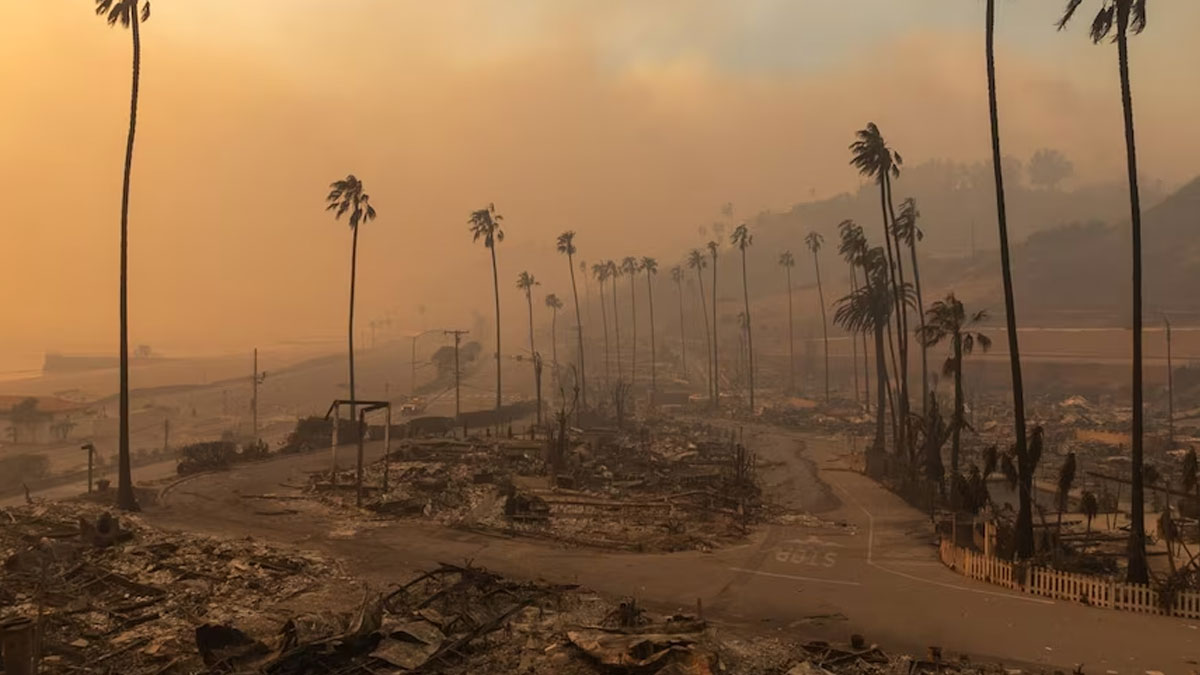 los-angeles-fire-sm3