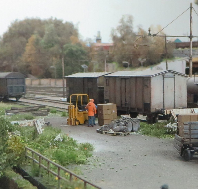 Alberi Boscoscuro giugno 2023 (14)