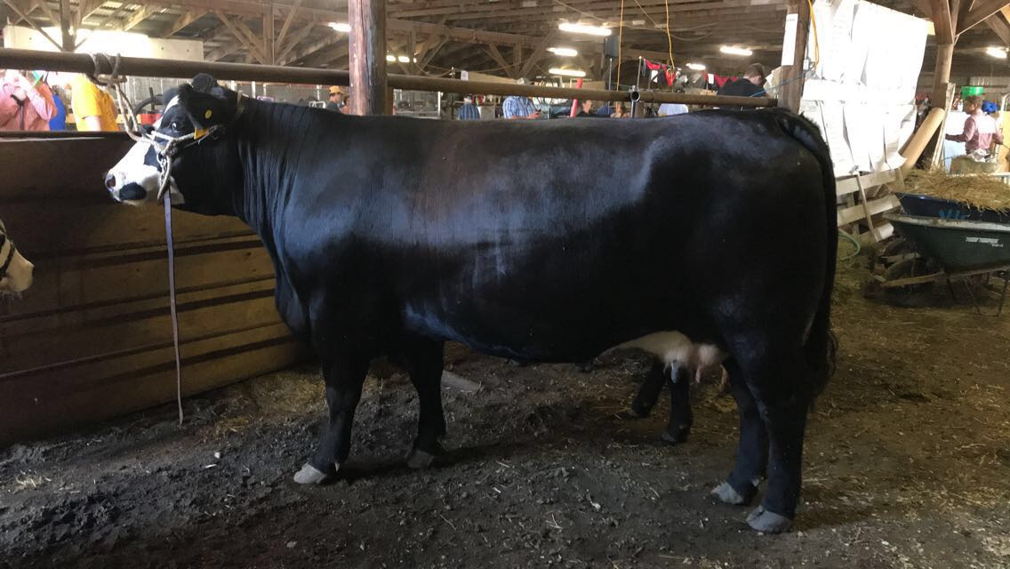 0147B5CB-0A7A-4EAB-8380-4EE286D606B5