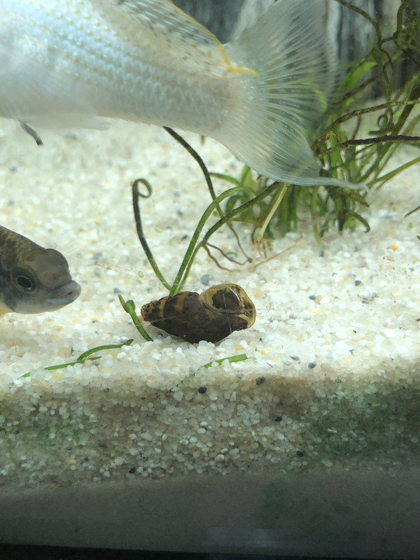 F88685C2-A1B1-4199-8C31-557F14EFF196