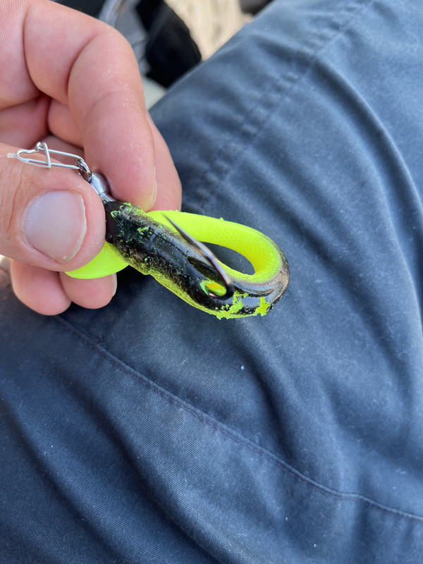 CF105928-EED1-4FC4-971A-7F35B39EE00F