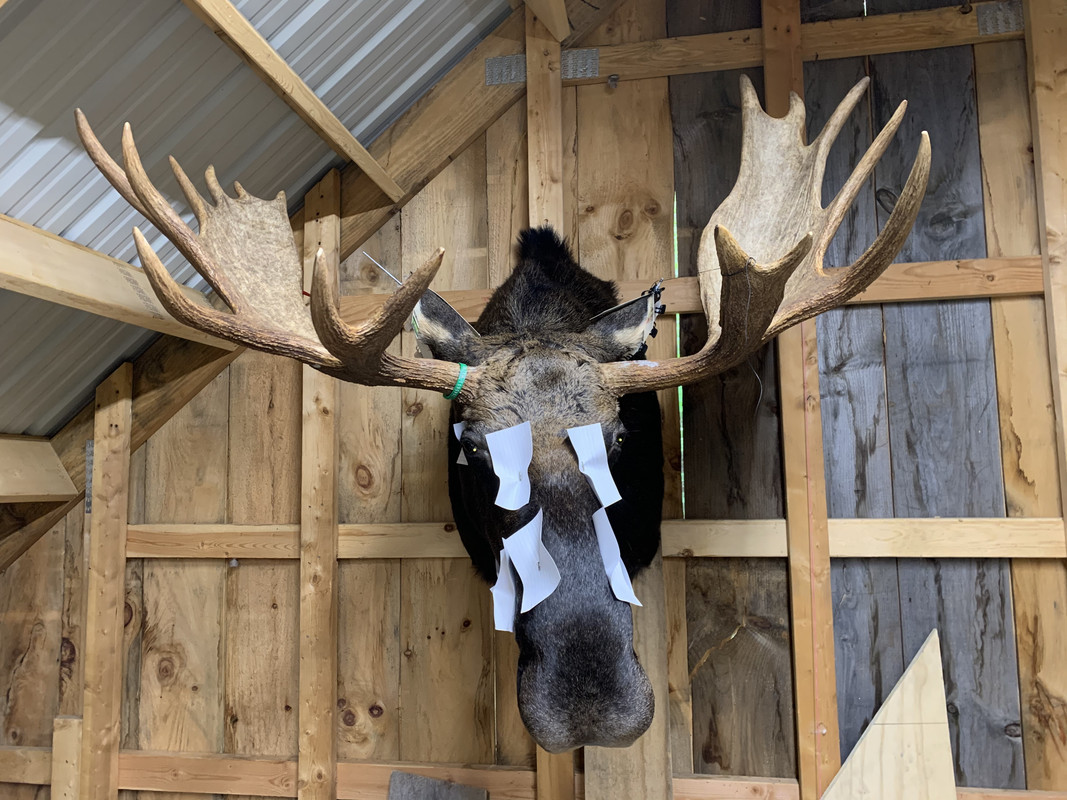 2654E0EF-C5D1-4AA2-A6C8-9B20D5EAF9C3