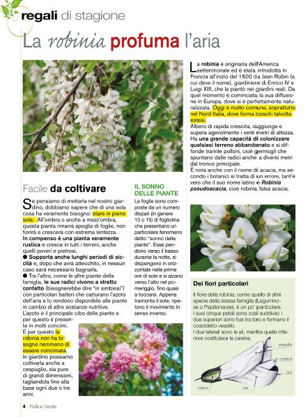 Pol Verde Apr 2020 (1)