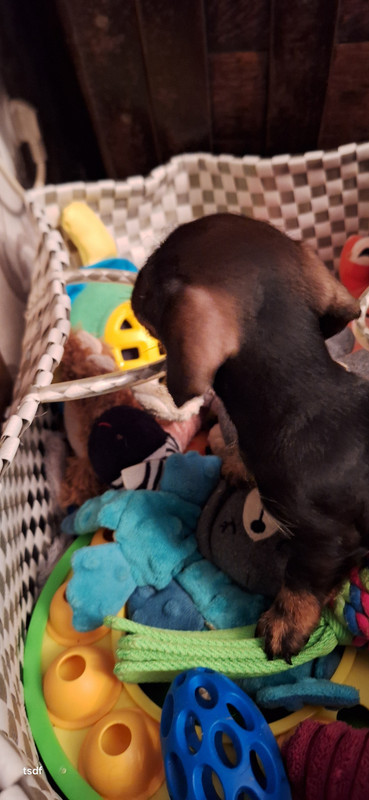 [Image: 20250605-190250.jpg]