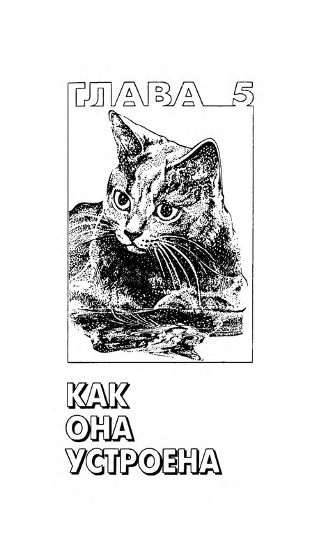 Николай Непомнящий - 200 кошачьих почему - 1995_page-0097