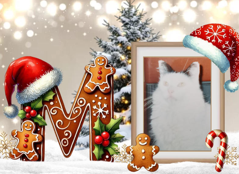 ( a Minou Noël