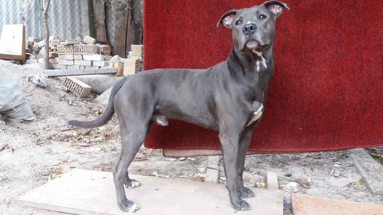 IMG-ffd40619f761e0a3cd52bff14b1bc0d3-V