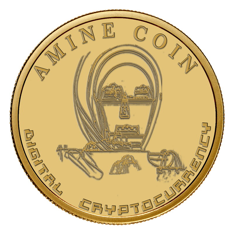 Amine-Coin.png