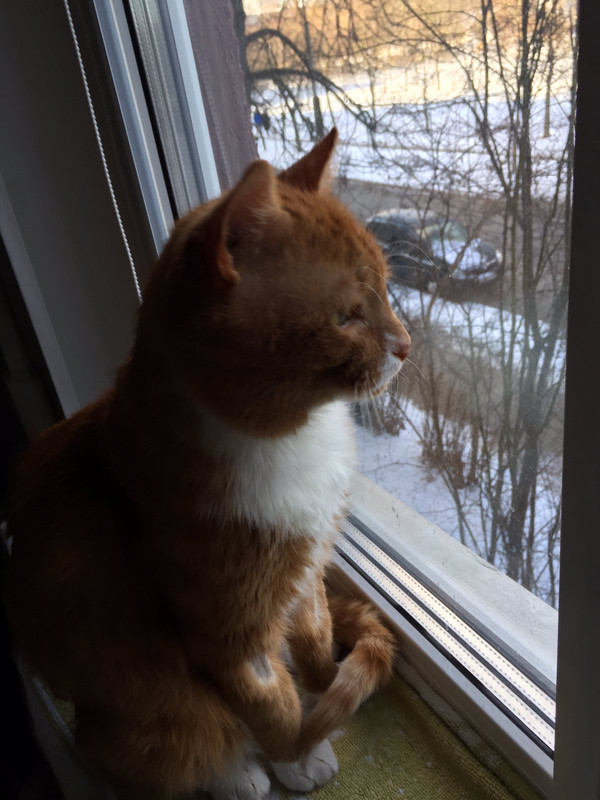 2E84702B-D3B4-4653-B1DA-136E88F92305