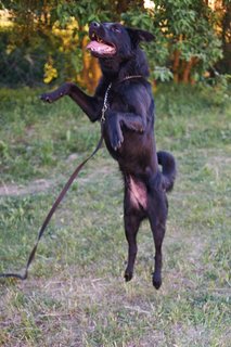 808F2799-E5A5-41FF-825C-76933541B491