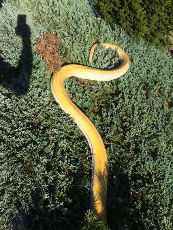 938DABE9-8725-4090-AAD9-AFEBD3E77EF4