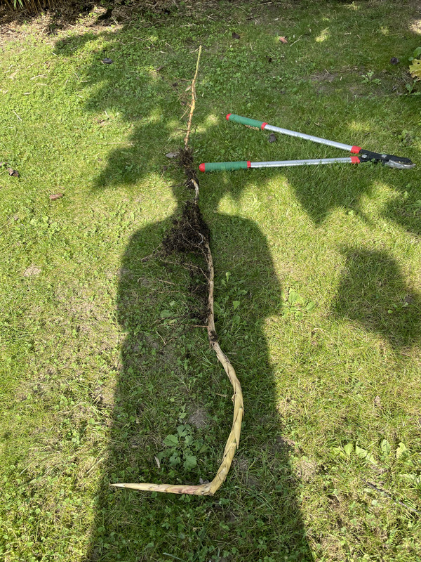 8991628D-6D0E-4A4F-988E-1CC7CBCB7643