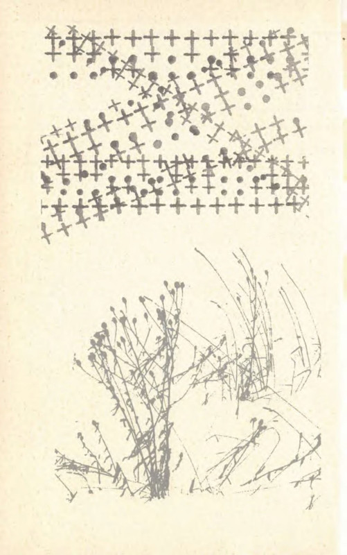 p0005