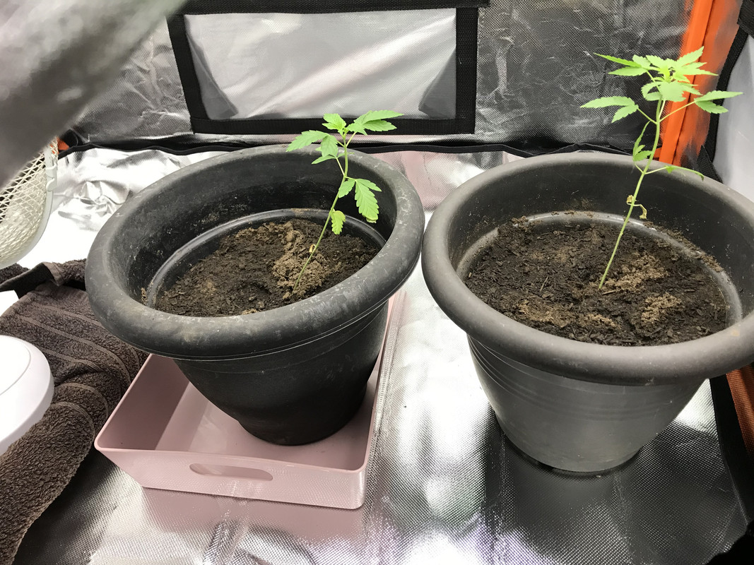 BBC8FF97-C80D-48F7-8218-4C2E6414B451