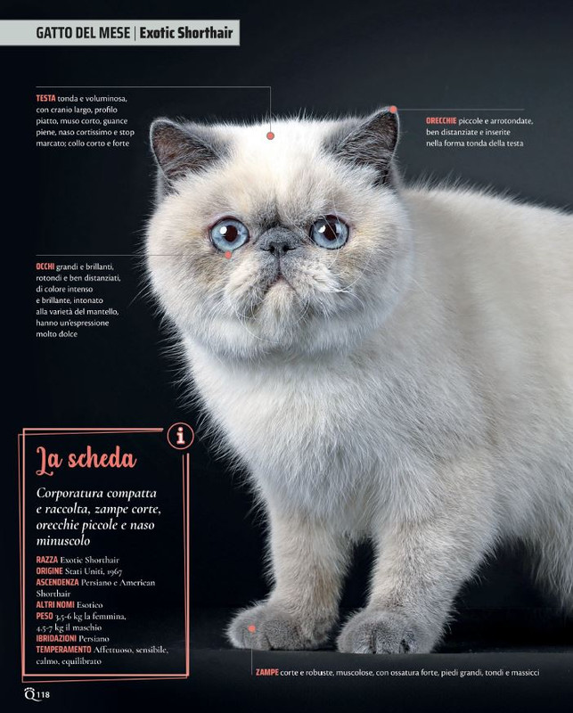 QuattroZampe Ott 2021 (11)