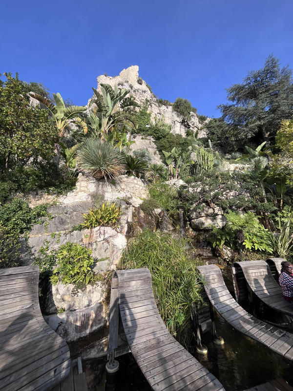 [Image: IMG-1352.jpg]