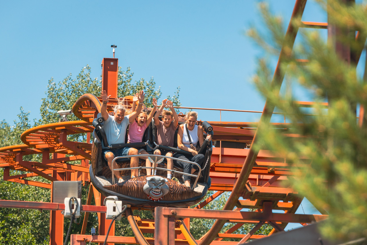 BAGATELLE 2025 Elisa Marq Photography 253