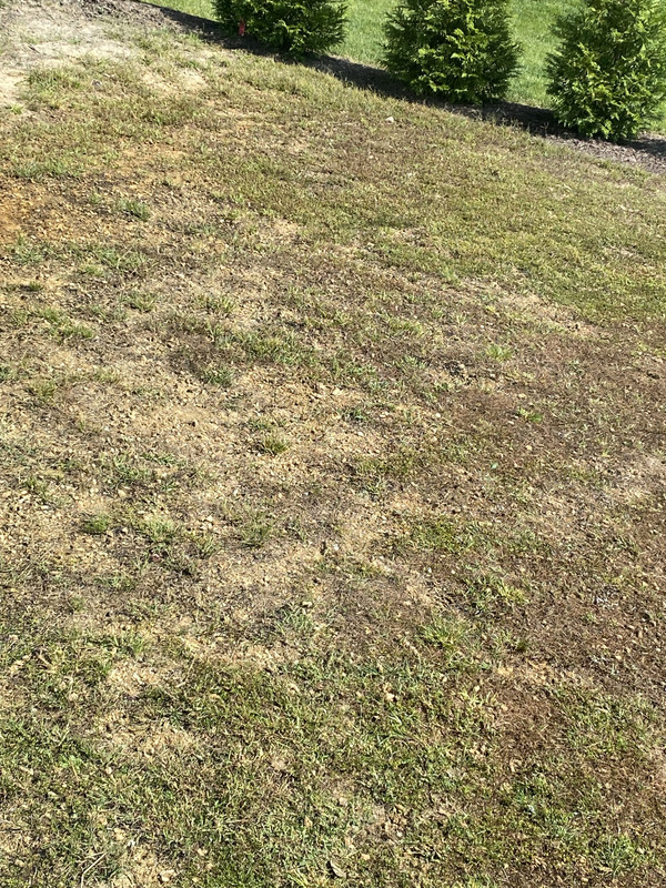 E62FCBEE-DAB3-47A7-921A-F31E4FE6F1C6