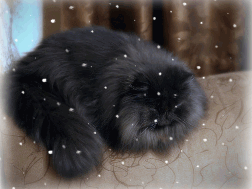 5-F22-EC7-C-5334-11-EB-B2-FD-12-D56488034-F