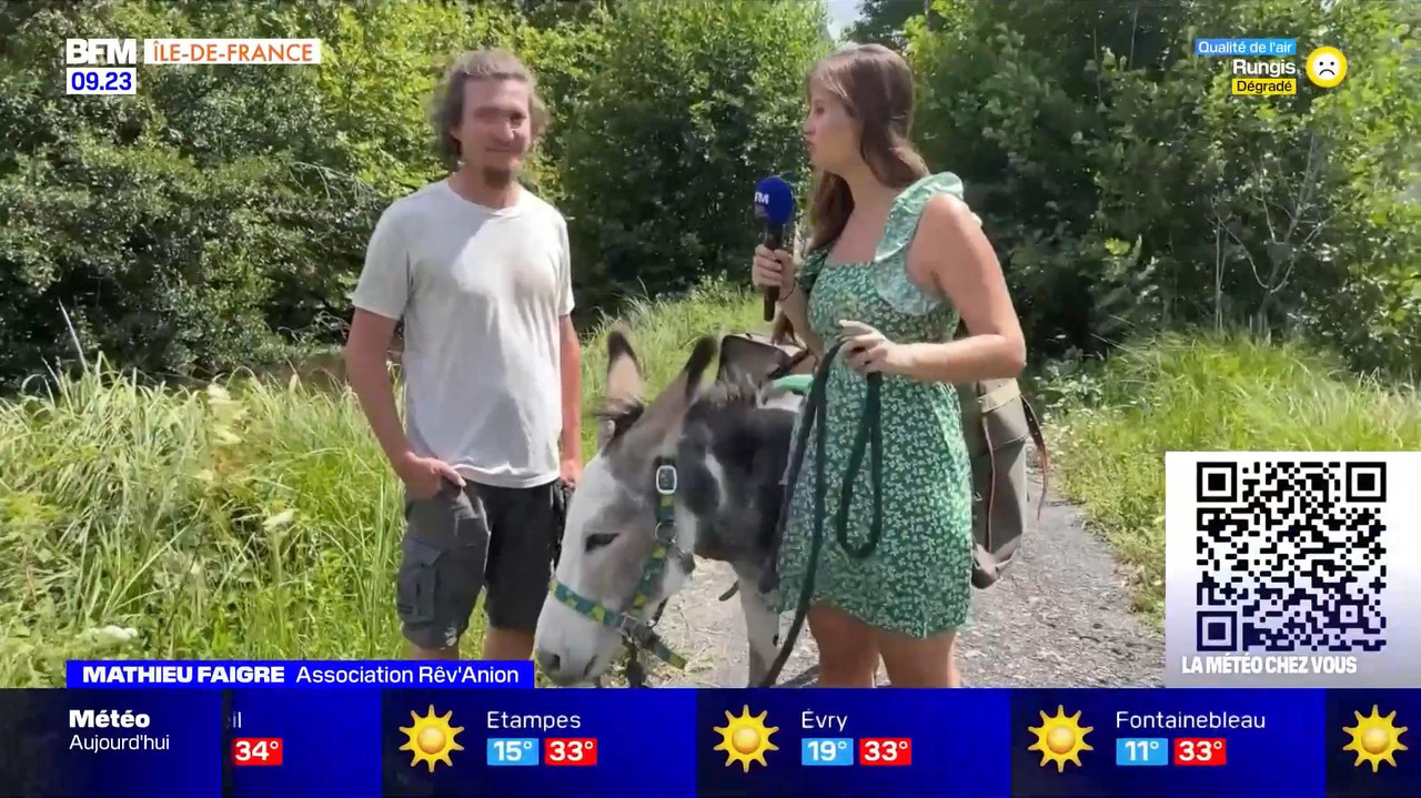 vlc-record-2022-08-13-16h22m53s-08.13 - 07.55.51-1.m4v-.mp4_snapshot_08.14_[2022.08.13_17.16.55]