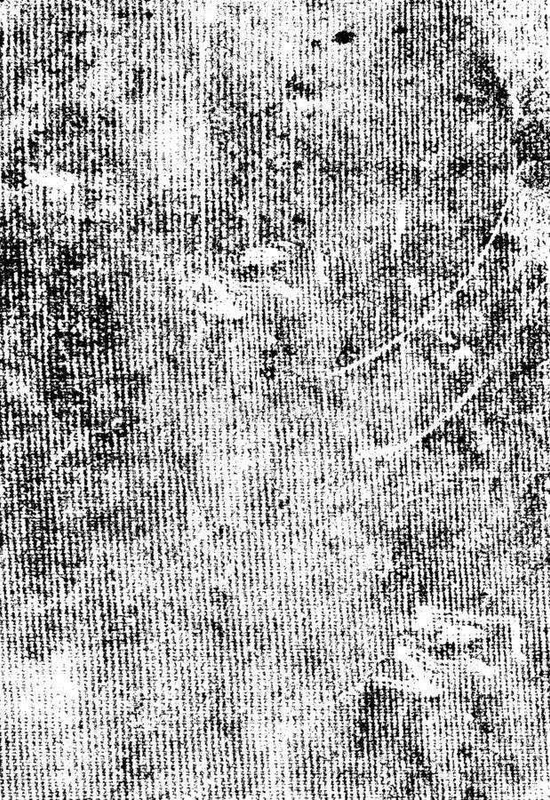 Tumblr l 502364463692373