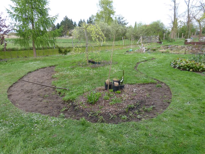 2014-04-13 Gräserbeet5