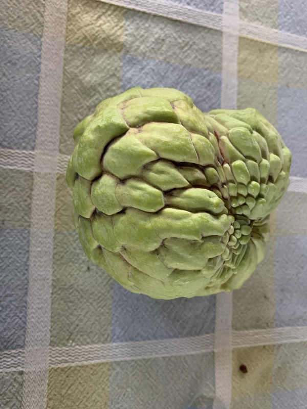 40C68BF0-24E7-44F1-AE55-559A7D6D714B