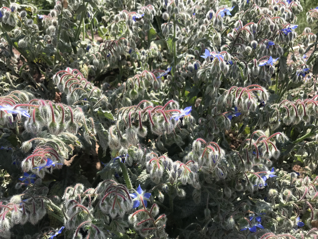 C5218BCA-7462-41C5-BE76-ABC85793A70F