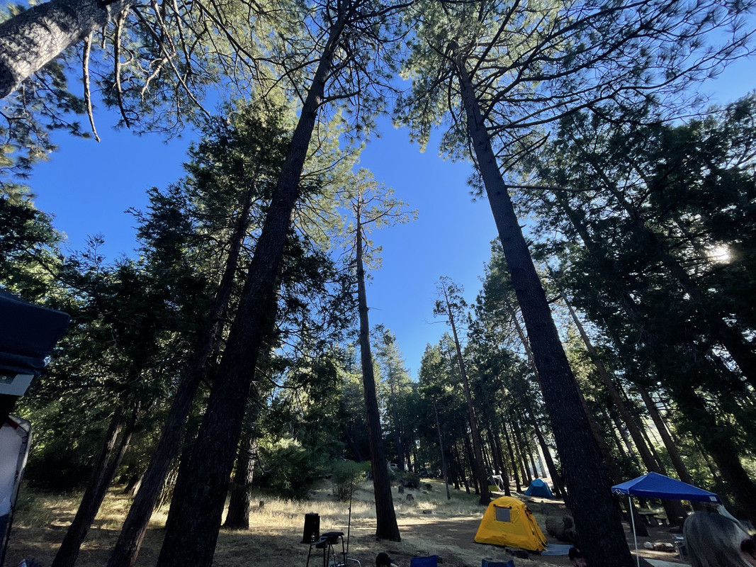 71660165248__A2FA3710-DE03-4B95-9078-F5D4584BA5E3.fullsizerender