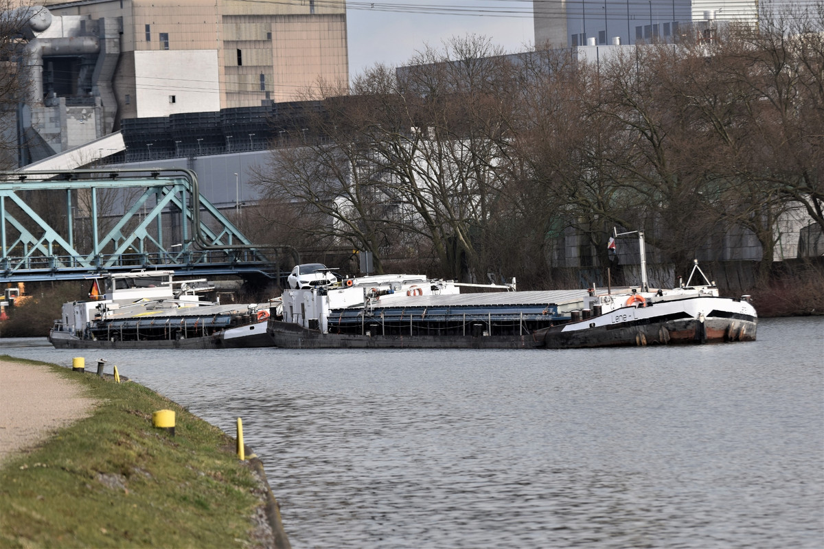 2022.03.01d2b Lene - L (1940x1293)