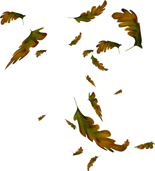 TADD_elements_ShimmerFall (43)