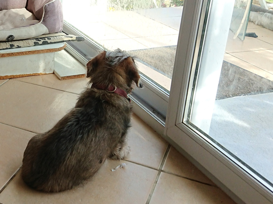 [Image: DSC-2039-A.jpg]