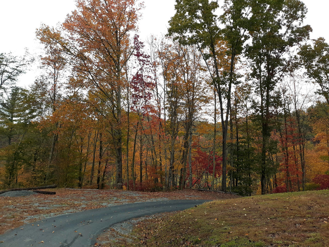 20191026_134107.ENH.1920P