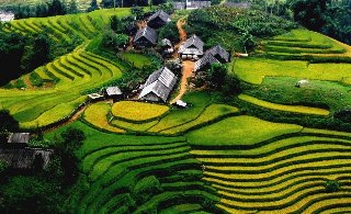 Thơ hoạ Nguyễn Thành Sáng & Tam Muội (1921) LAO-CAI-PROVINCE-VIETNAM