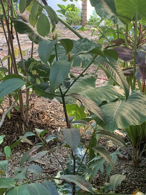 FE7336AC-533F-41C7-BC1E-C9402CC5D565