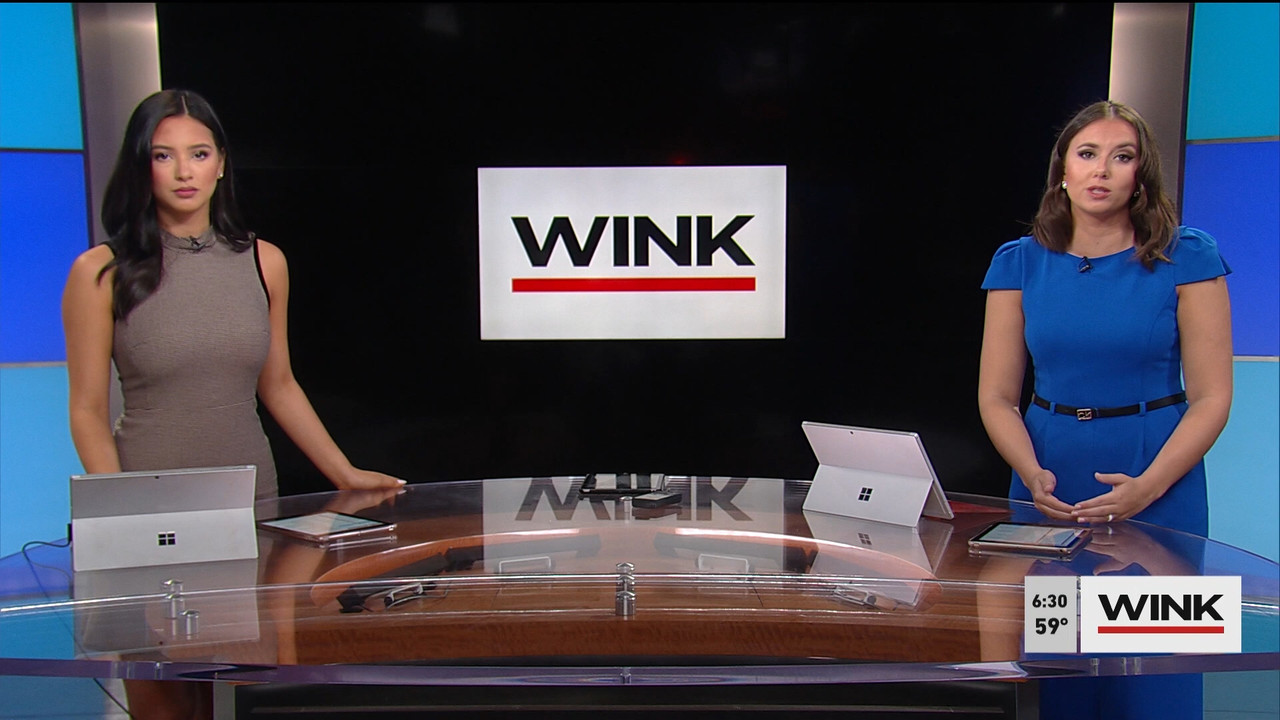 03.13 - 11.00.00 - WINK News @ 6 00am..ts_snapshot_00.30.08.402