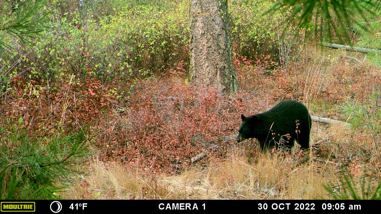 54B72D63-F2EF-49AA-9244-DCE148B257E9