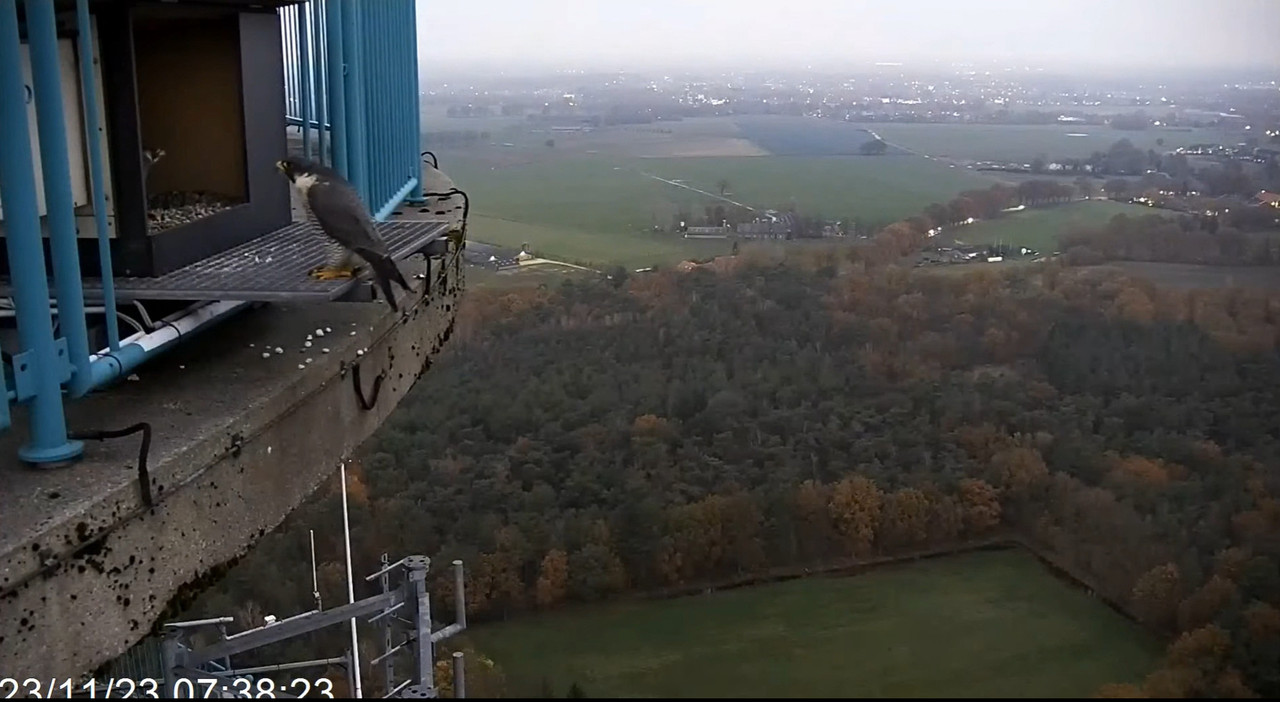 screenshots va 2 november 2023 © VWGGemert - Pagina 5 2023-11-23-075052