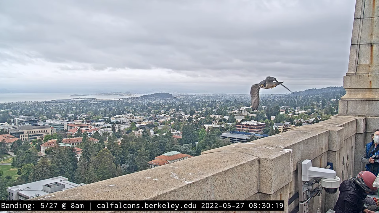 5-27-22 Banding (Raw West Footage) 20-29 screenshot