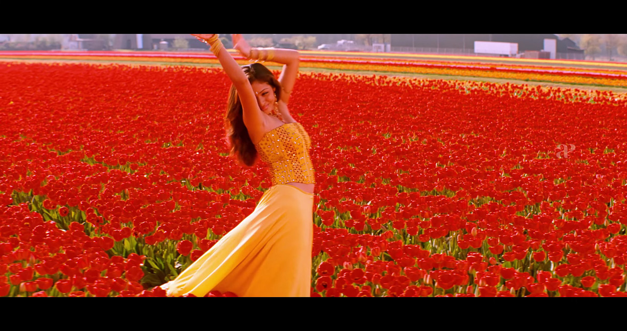 VideoCapture_20241122-200420