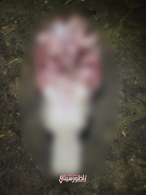 WhatsApp Image 2024-08-27 at 23.27.58 (5)