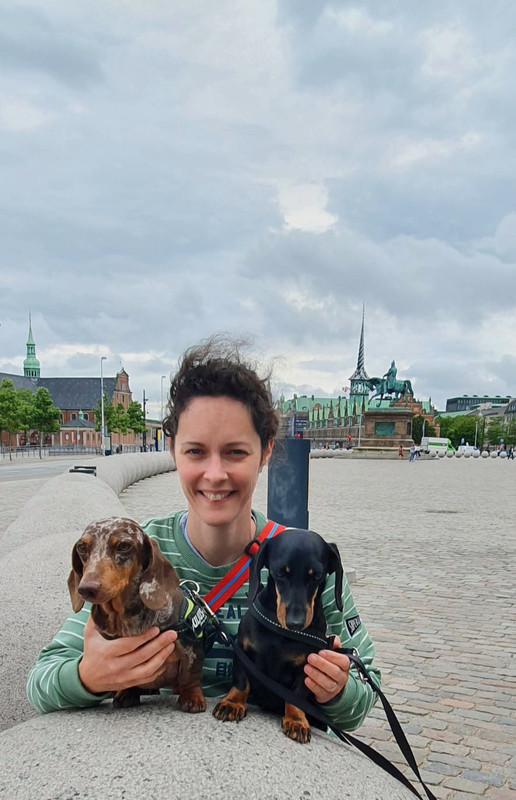 [Image: IMG-20220722-WA0002.jpg]