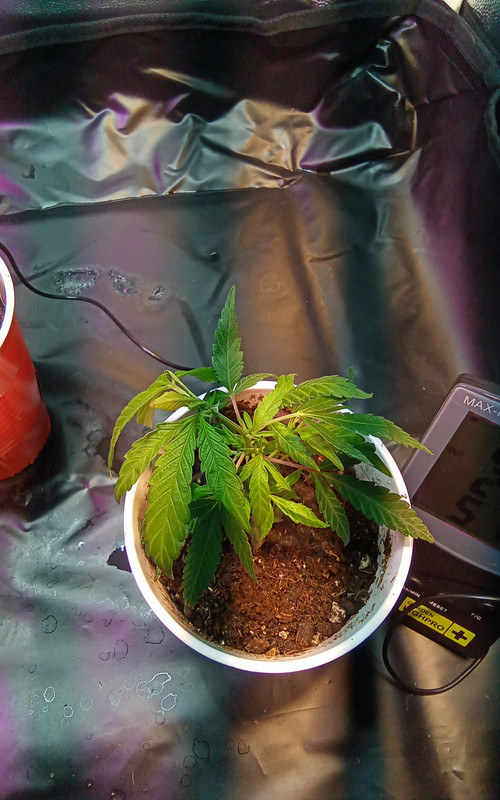 IMG_20211210_220927_968