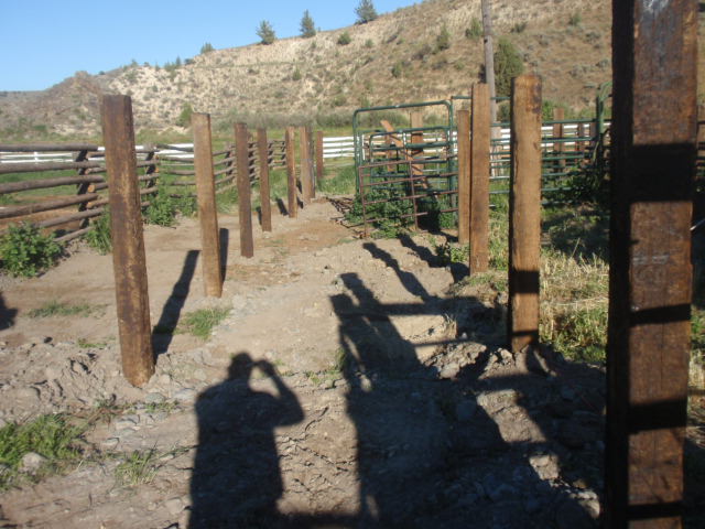 P7022025