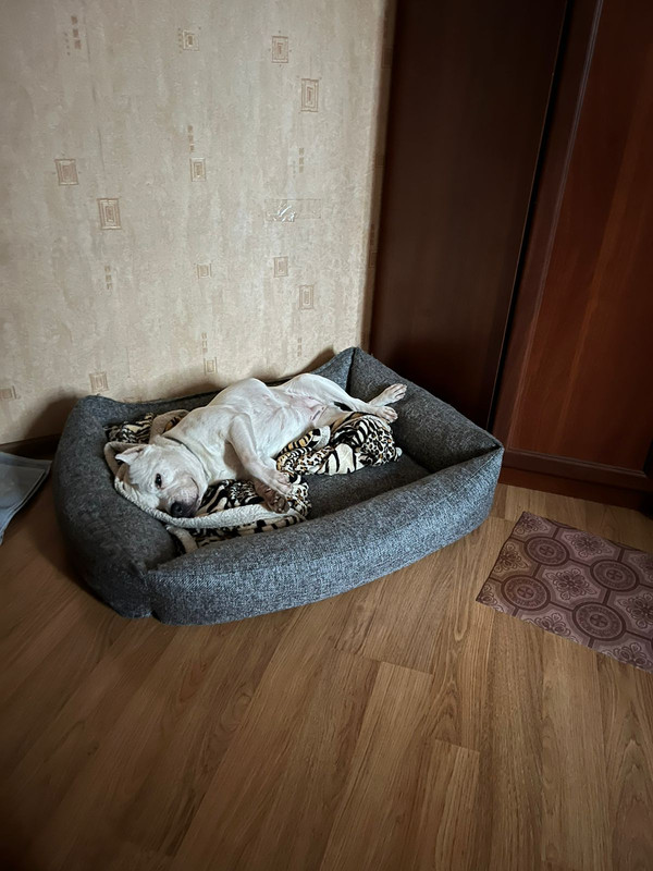 45A325AD-8160-4CA9-9B43-CF606F101E29