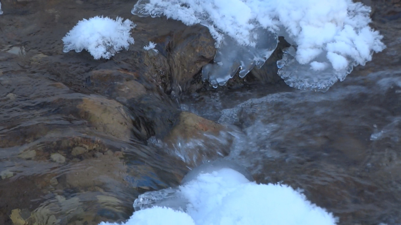 05.27 - Spacer Doliną Małej Łąki_003407