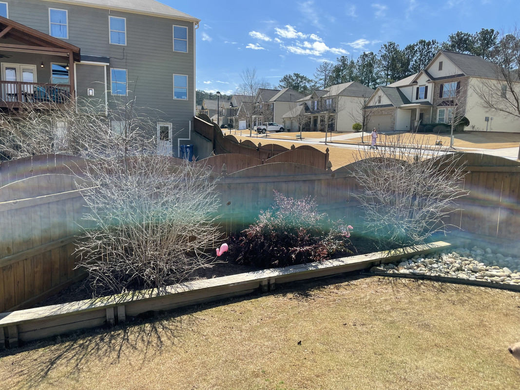 D14115D4-0F47-4EC6-95CB-9379D81FC23A