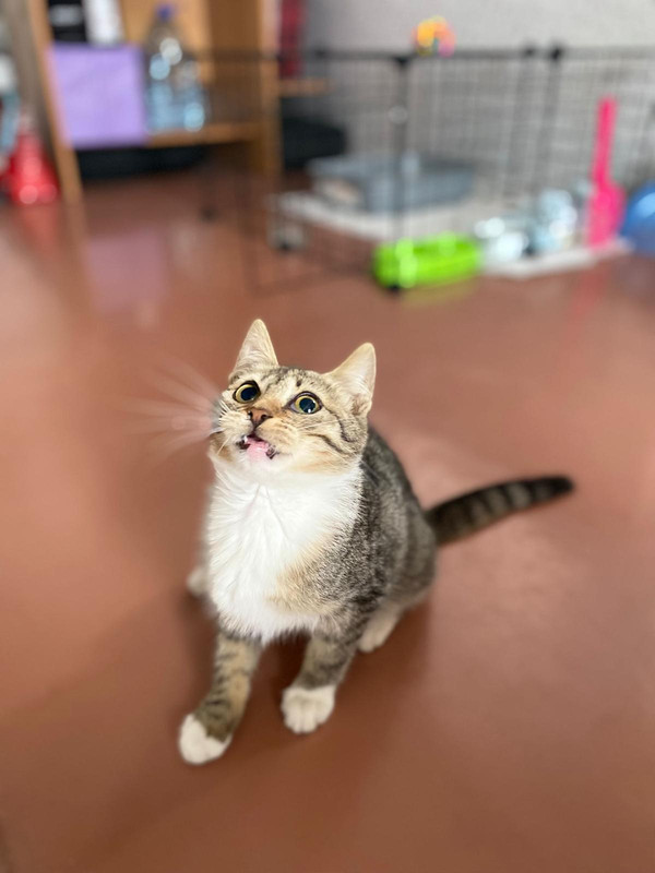 2C007717-B99A-4B4A-BA0A-53DF3CDBF6F3